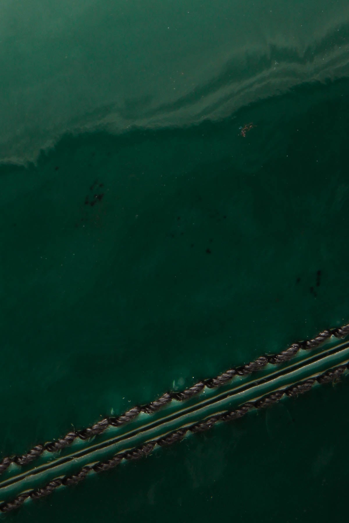 crystal panther tote bag green crystal panther tote bag green